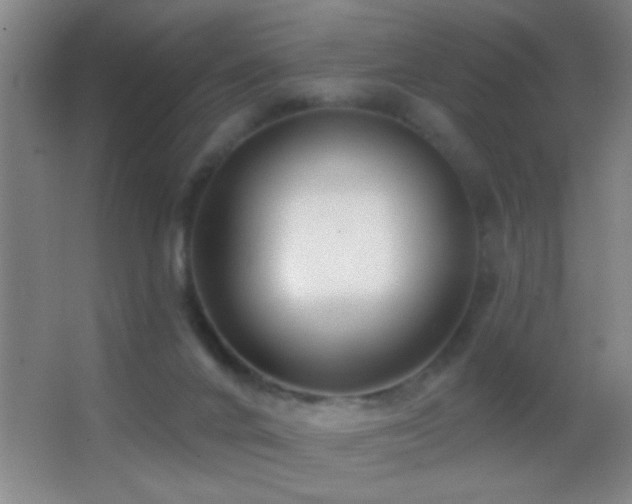 X0000062910024200601131438