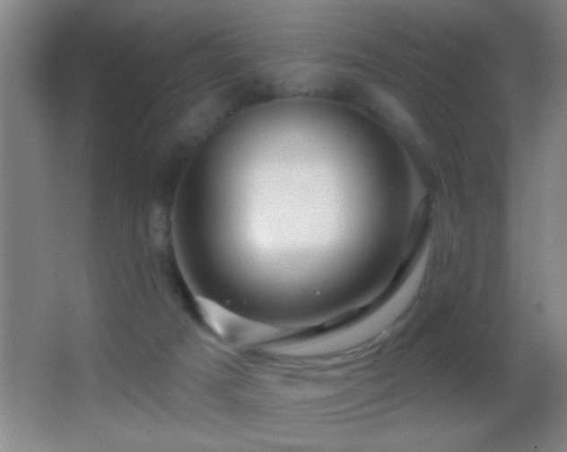 X0000062910025200601131438