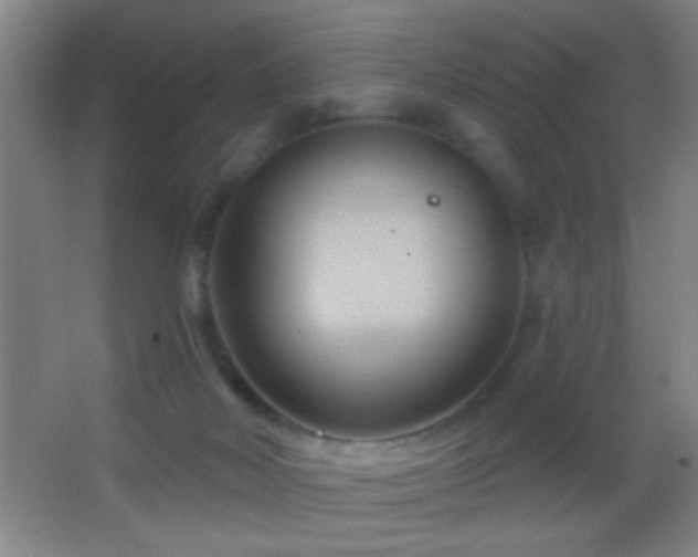 X0000062910026200601131438