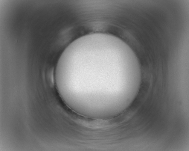 X0000062910028200601131438