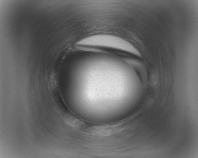 X0000062910029200601131438