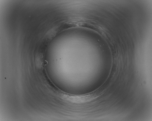 X0000062910030200601131438