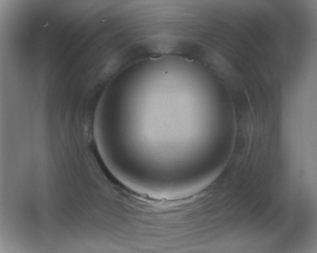 X0000062910031200601131438