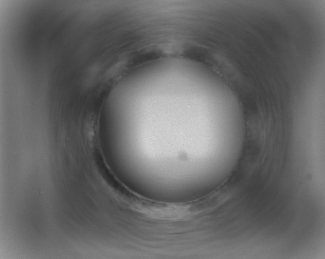 X0000062910032200601131438