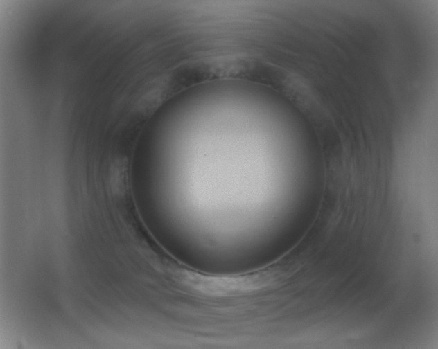 X0000062910034200601131438