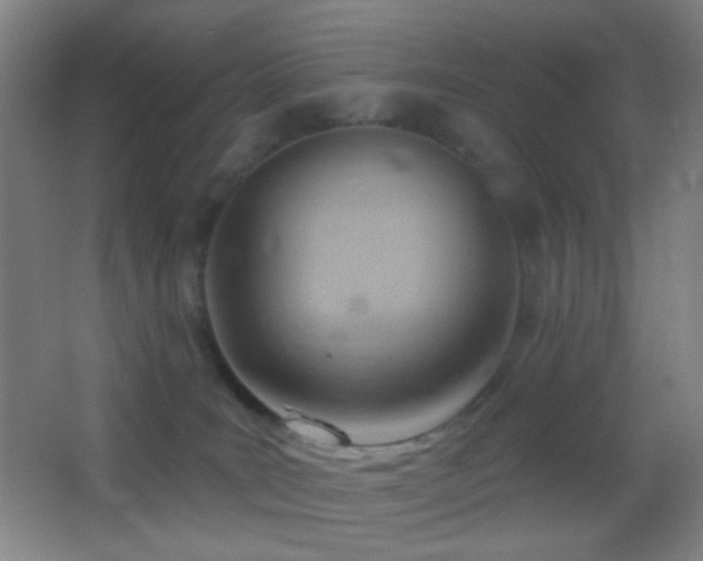 X0000062910035200601131438