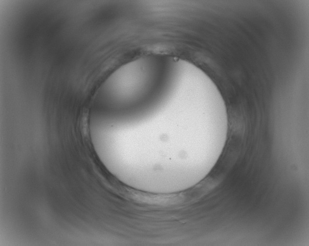 X0000062910036200601131437