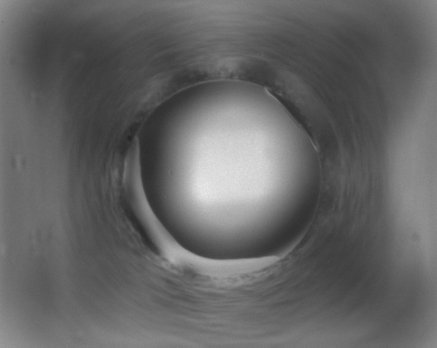 X0000062910037200601131437