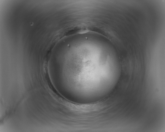 X0000062910038200601131437