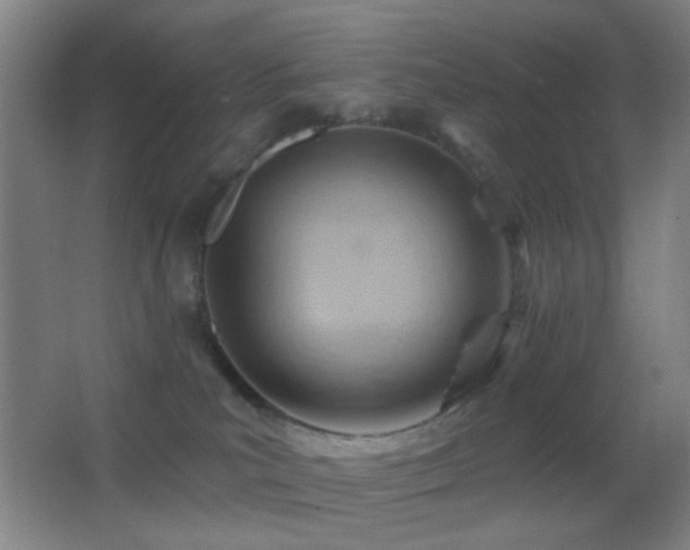 X0000062910039200601131437