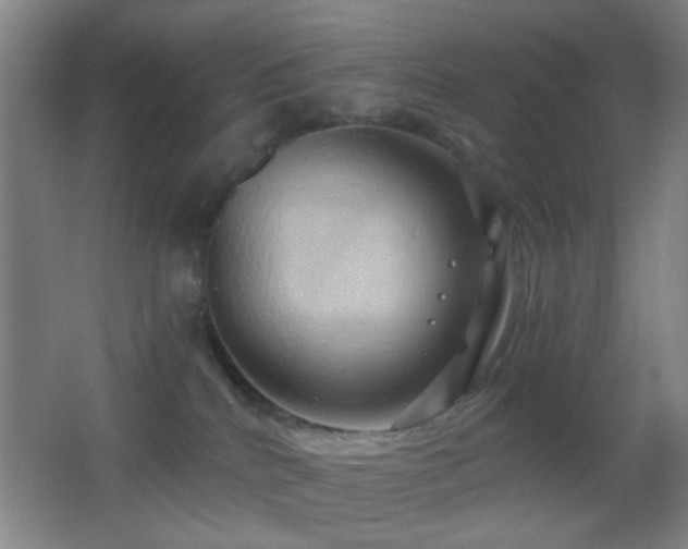 X0000062910040200601131437