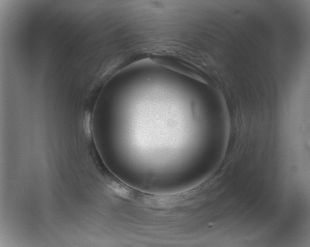 X0000062910041200601131437