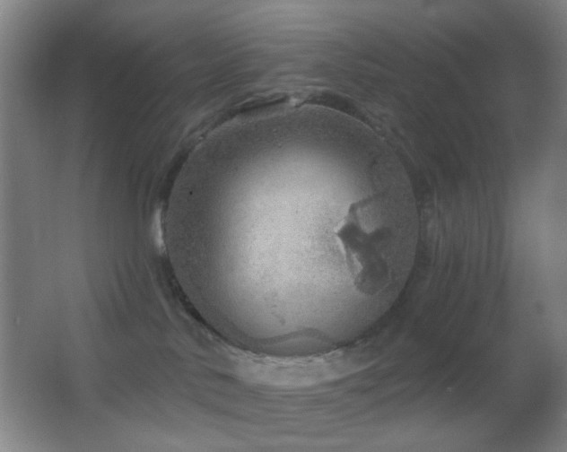 X0000062910042200601131437