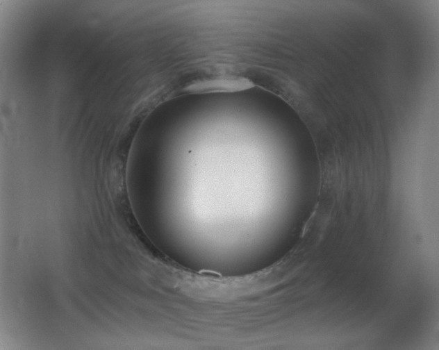 X0000062910043200601131437