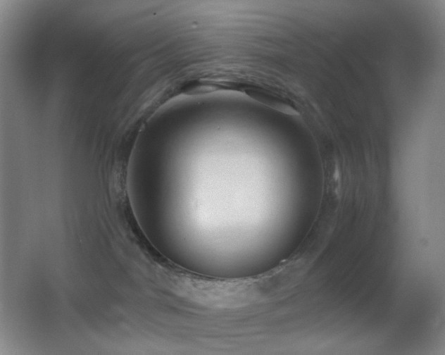 X0000062910044200601131437