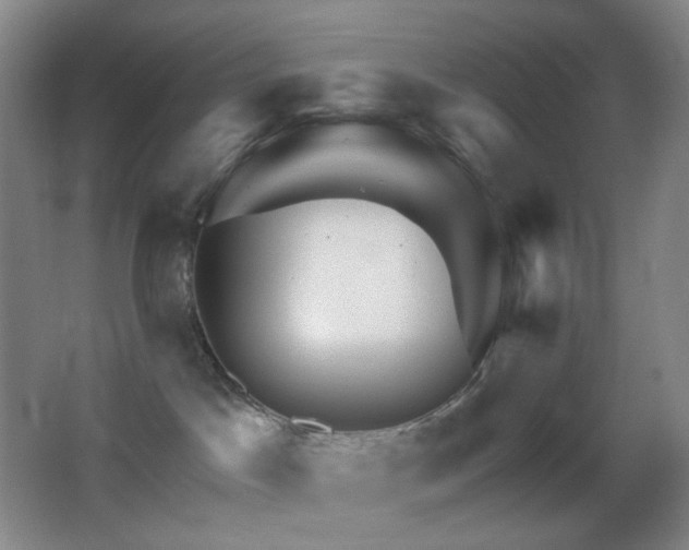 X0000062910045200601131437