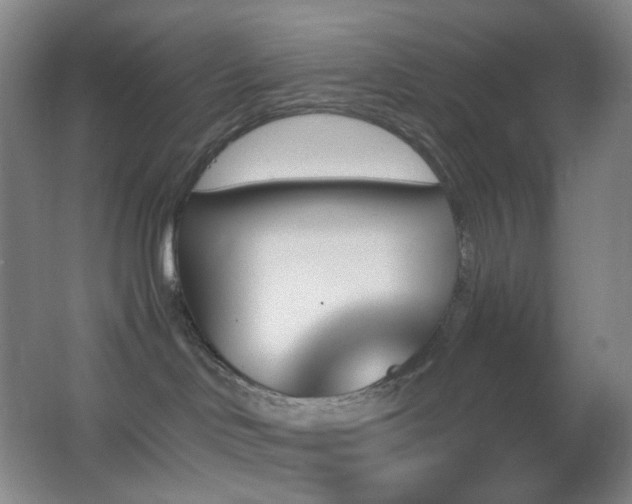 X0000062910046200601131437