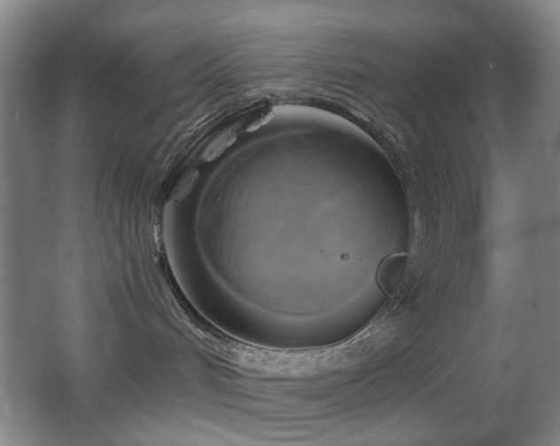 X0000062910048200601131437