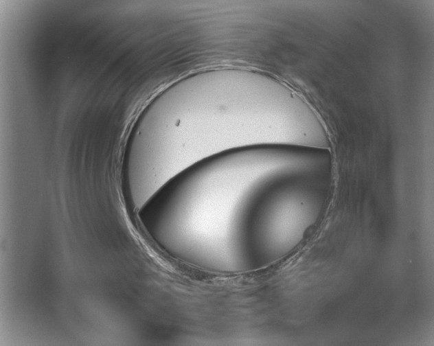 X0000062910049200601131436