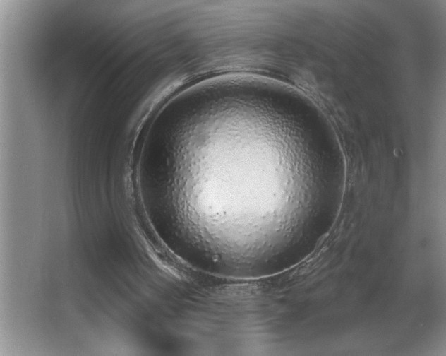 X0000062910050200601131436