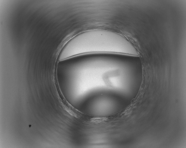 X0000062910051200601131437