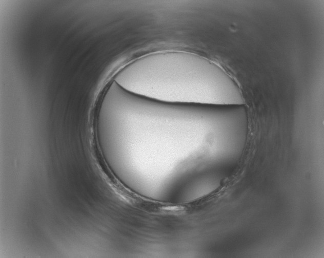 X0000062910053200601131437