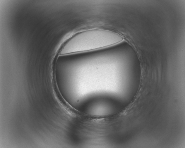 X0000062910054200601131437