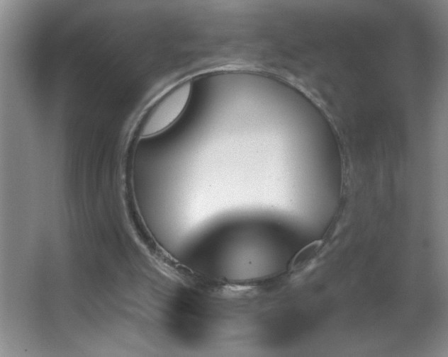 X0000062910055200601131437