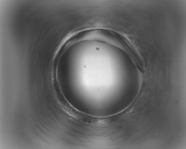 X0000062910056200601131437