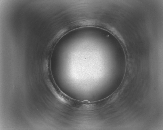 X0000062910057200601131437