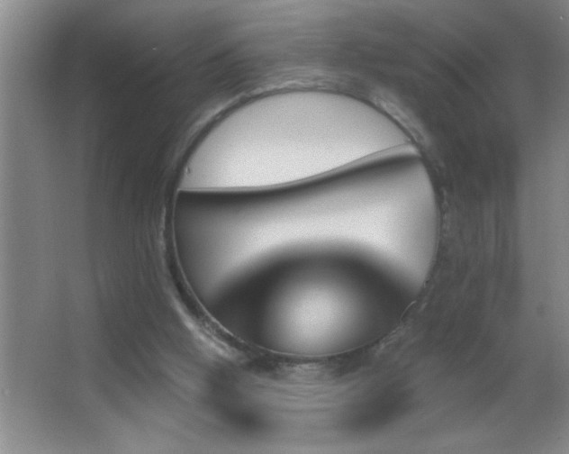 X0000062910058200601131437