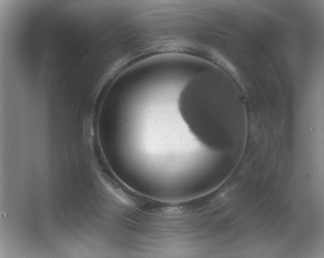 X0000062910059200601131437