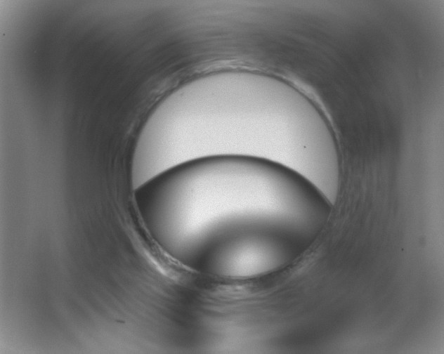 X0000062910061200601131437