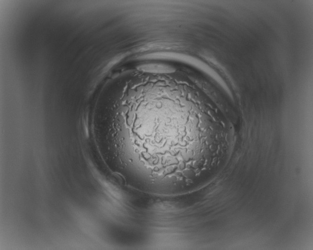 X0000062910062200601131437