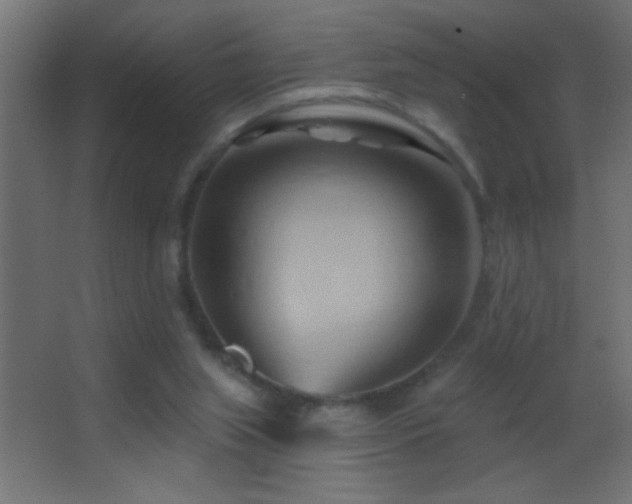 X0000062910063200601131437