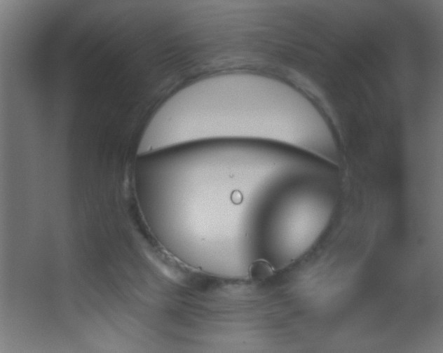 X0000062910065200601131437