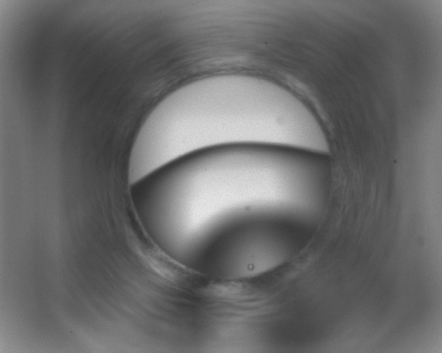 X0000062910069200601131437