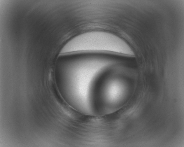 X0000062910071200601131437