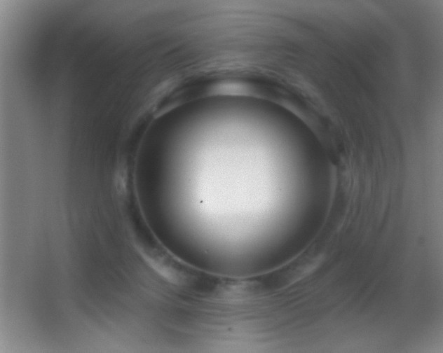 X0000062910072200601131437