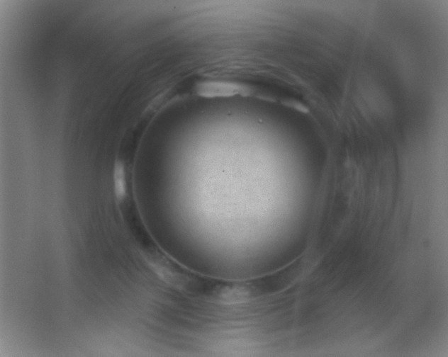 X0000062910075200601131437