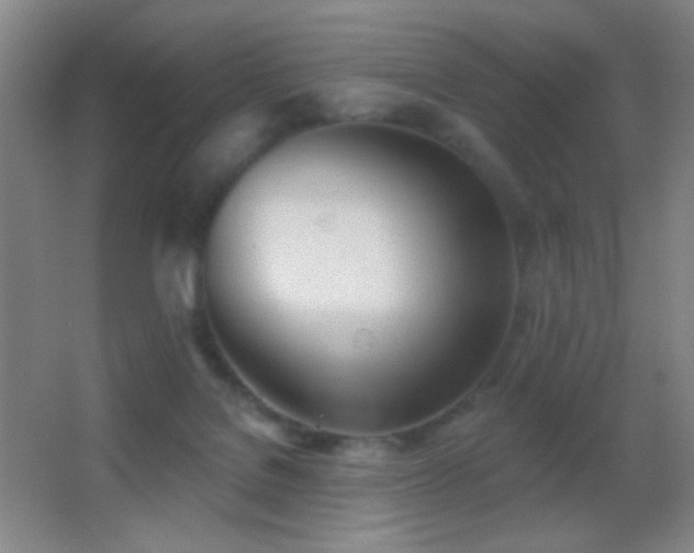 X0000062910076200601131437