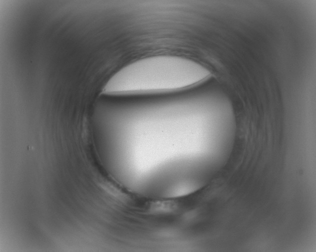 X0000062910077200601131437