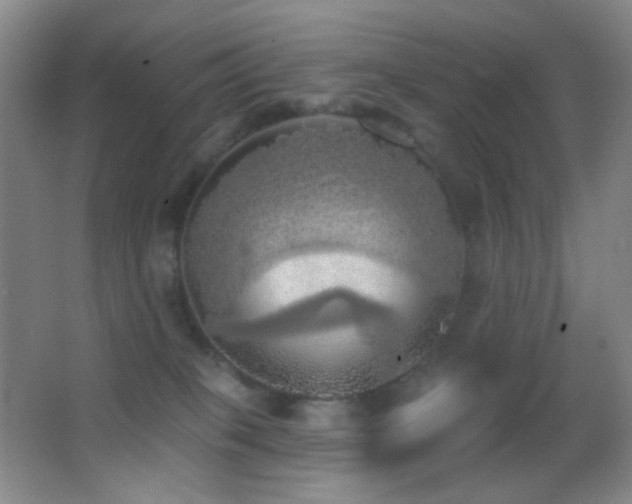 X0000062910085200601131437