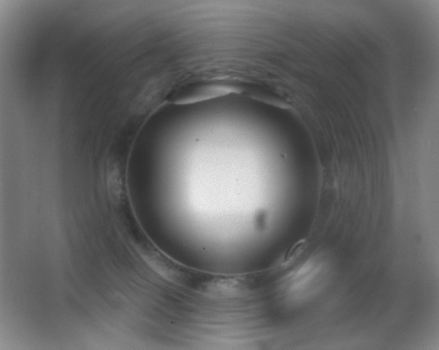 X0000062910086200601131437