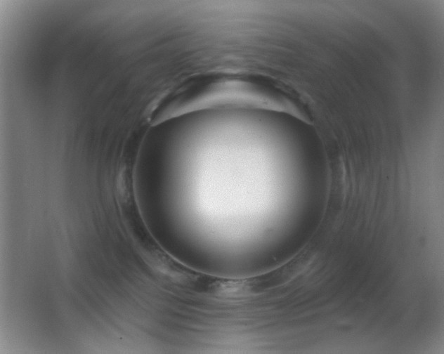 X0000062910088200601131437