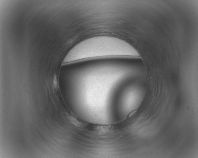 X0000062910089200601131437