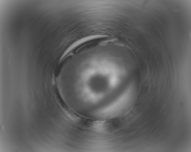 X0000062910090200601131437