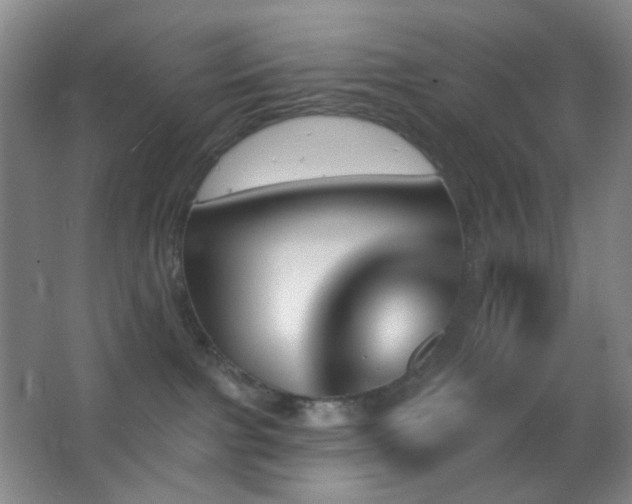 X0000062910091200601131437