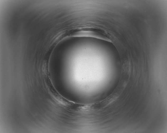 X0000062910092200601131437