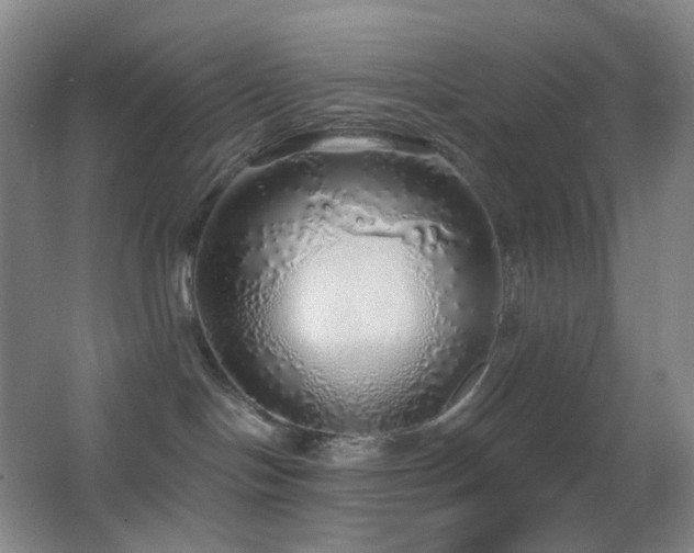 X0000062910094200601131437